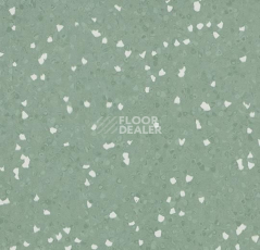 Линолеум Forbo Sphera Sd 550050 olive фото 1 | FLOORDEALER